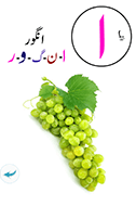 urdu1