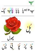 urdu29