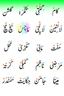 urdu50